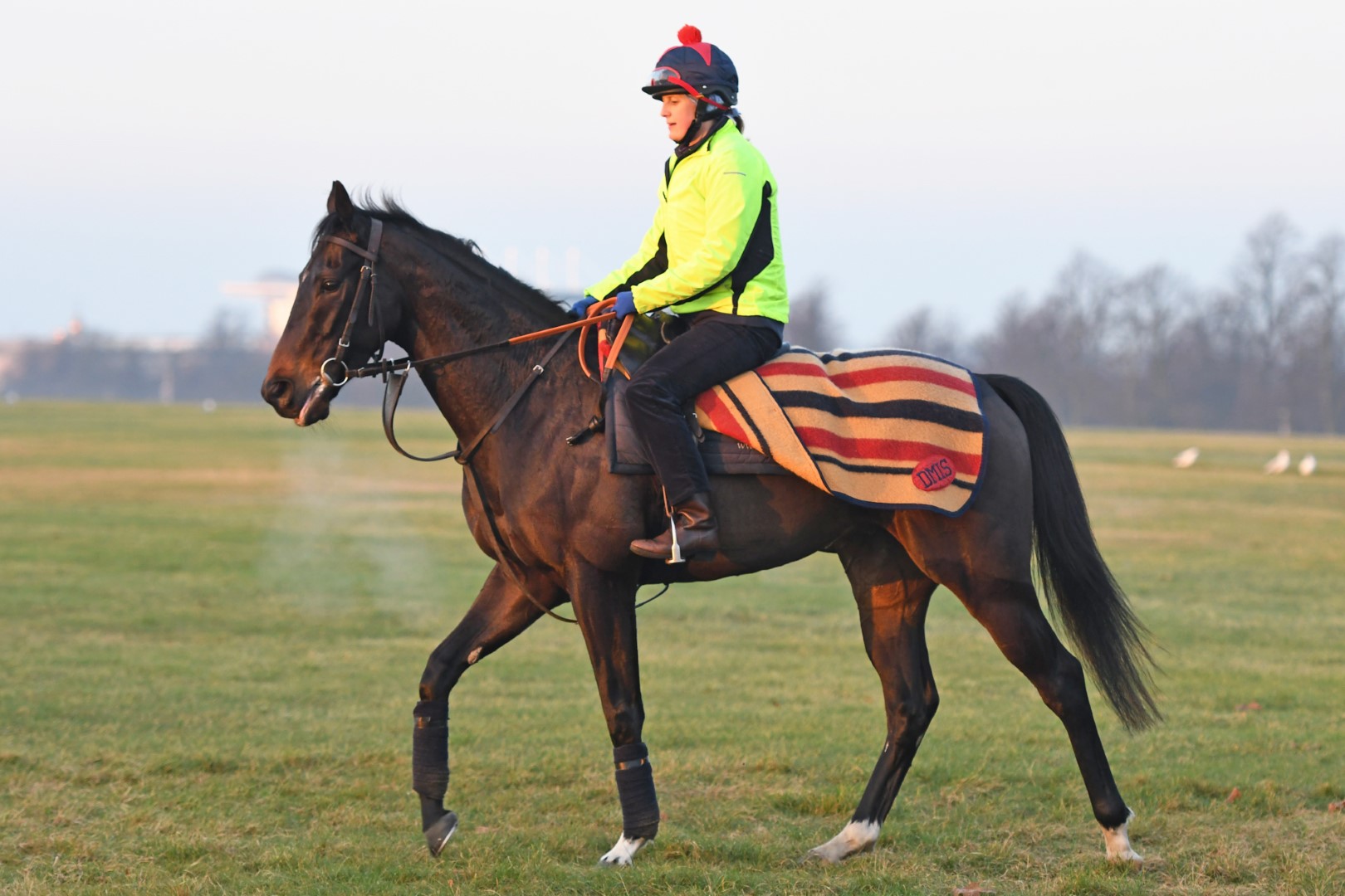 David Simcock has enjoyed top-class success, training in Newmarket