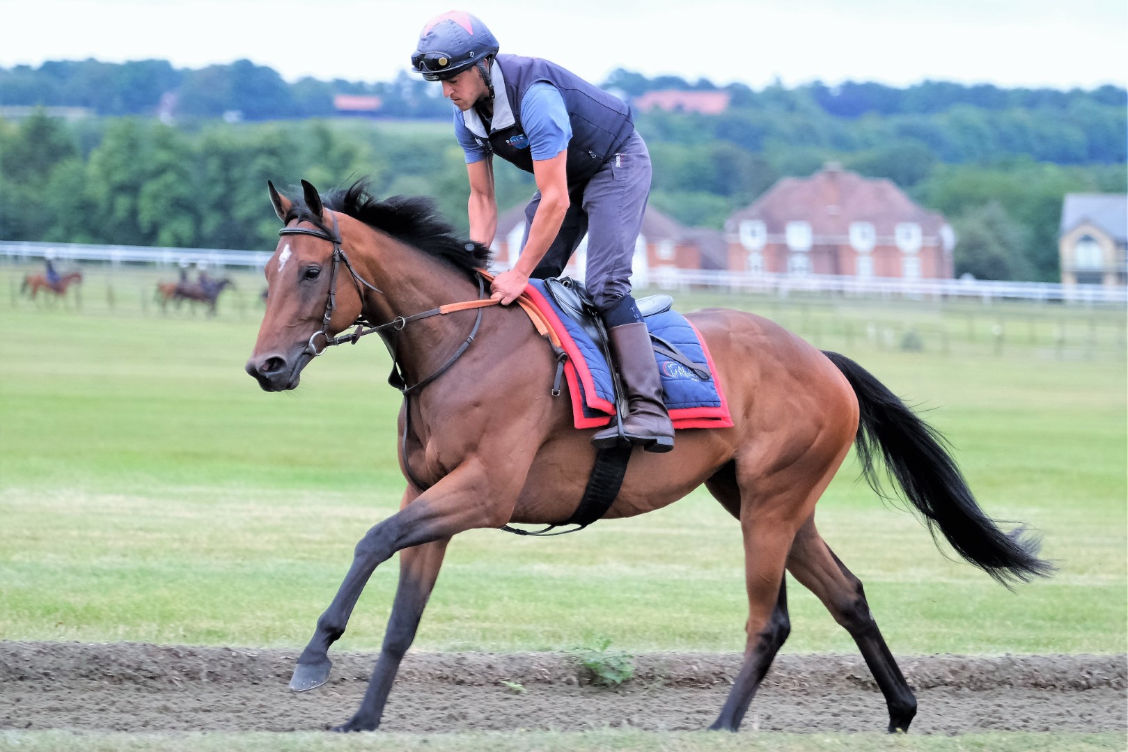 David Simcock has enjoyed top-class success, training in Newmarket