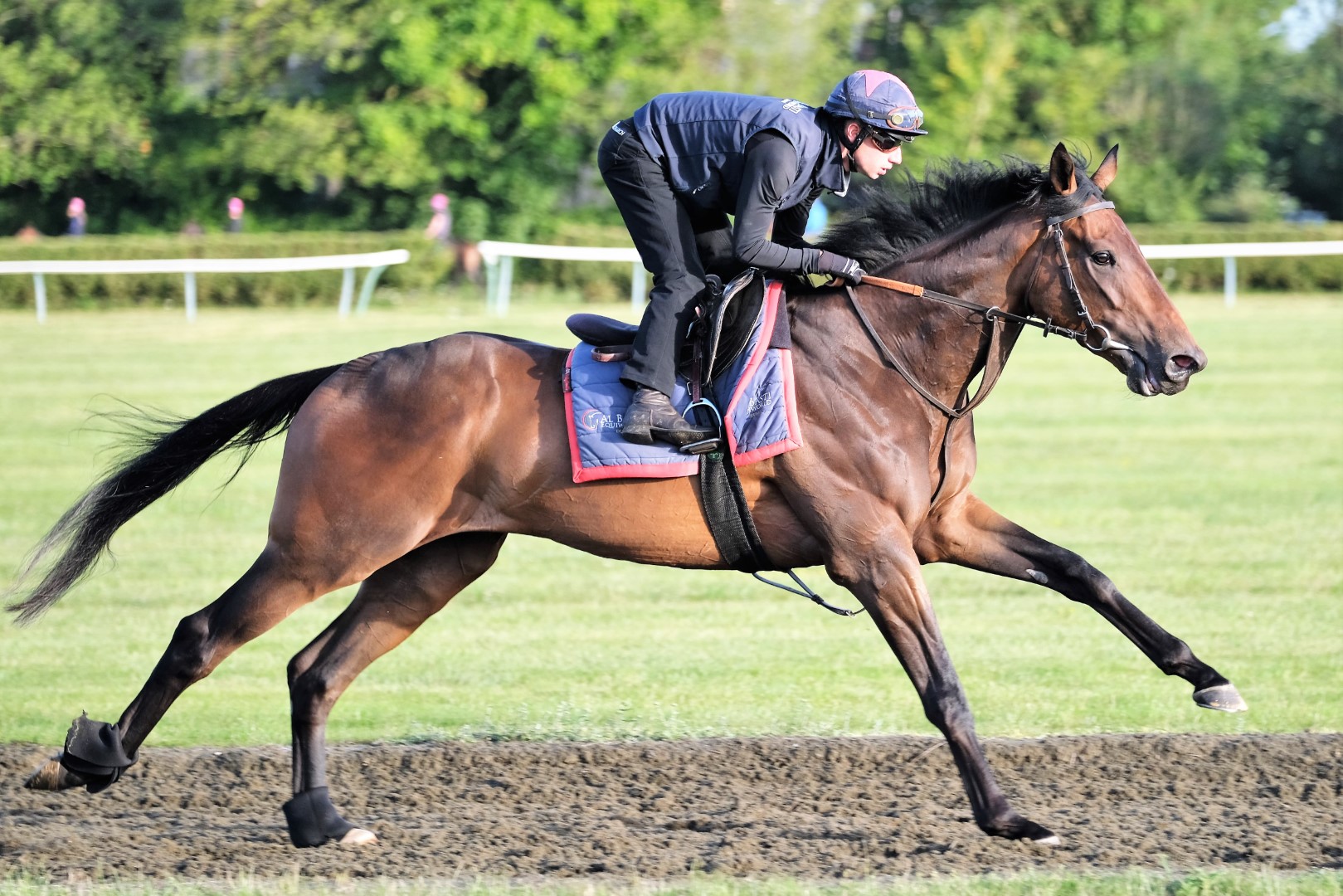 David Simcock has enjoyed top-class success, training in Newmarket